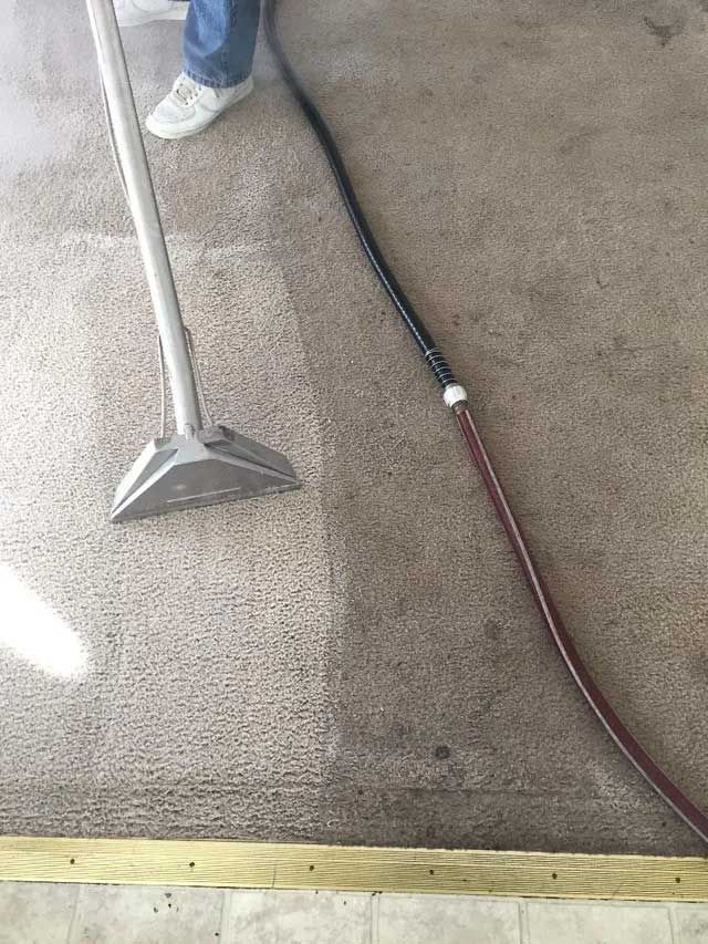 Deep Carpet Cleaning — Kearney, NE — Crystal Clean Carpet