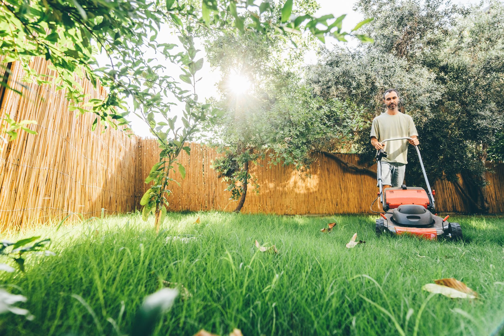 Man mowing lawn in a backyard, emphasizing residential landscaping and the beauty of outdoor spaces.