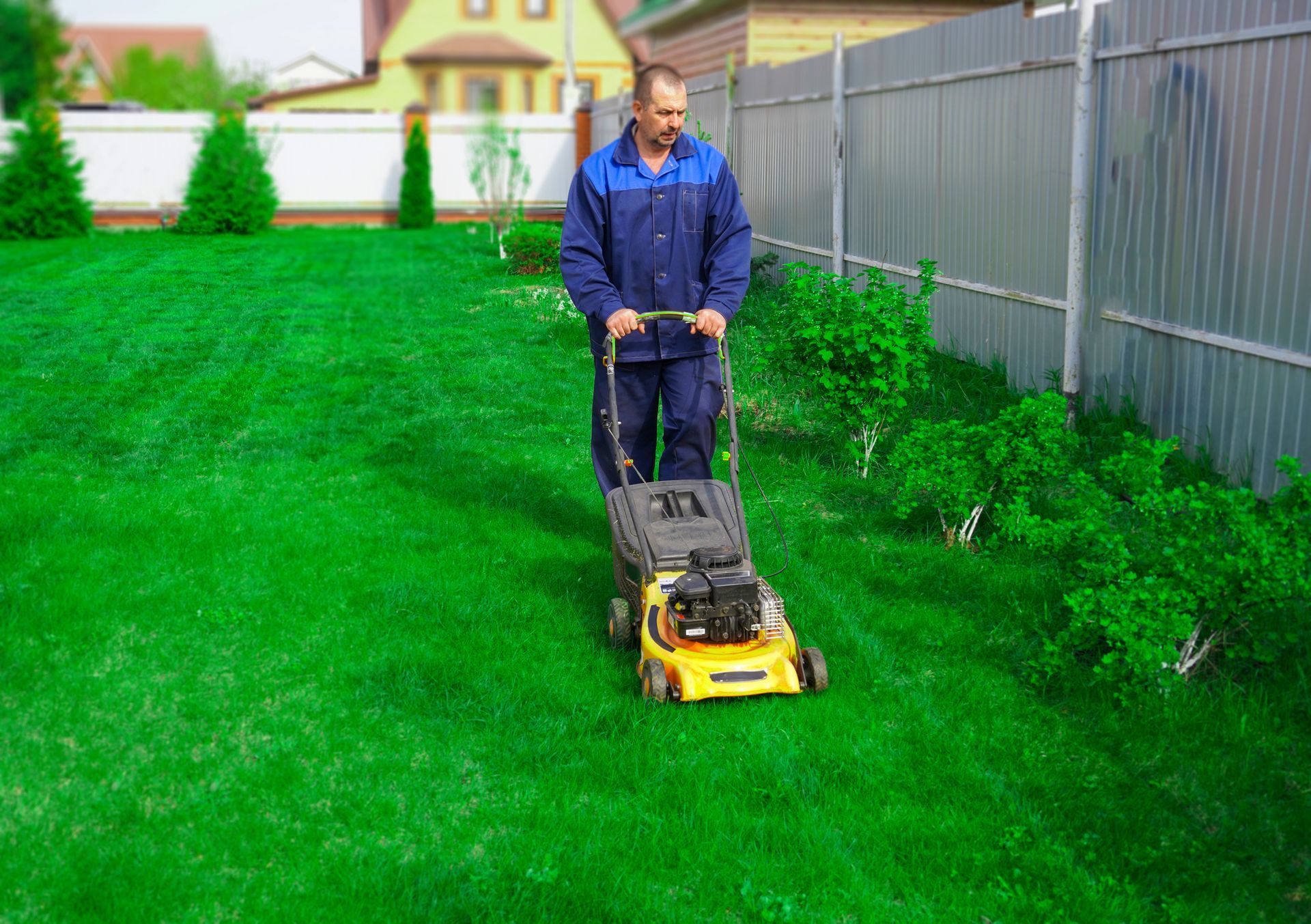 A man mowing a green lawn with a push mower, showcasing residential landscaping in a sunny yard.
