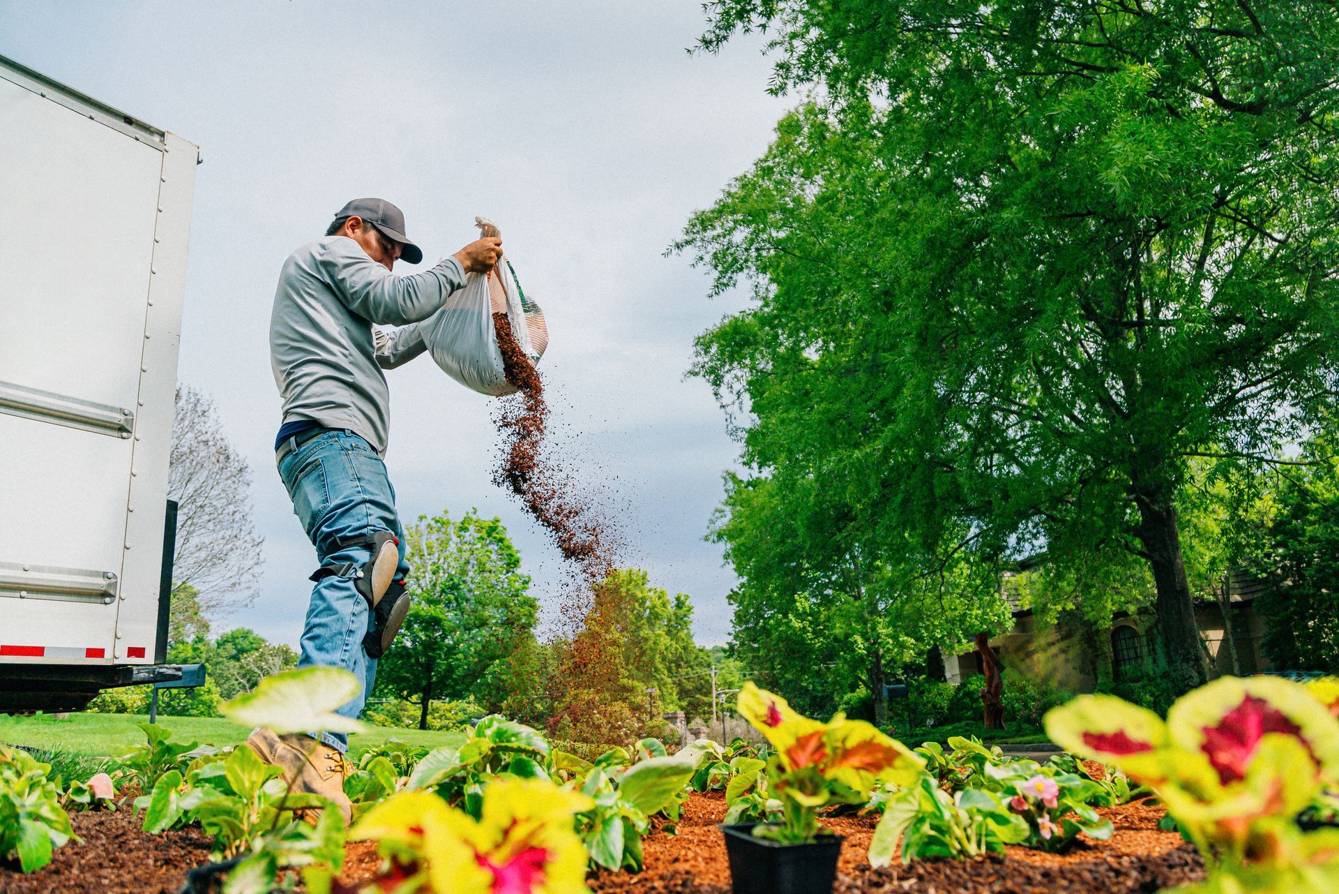 A landscaper pouring mulch on a flower bed.
