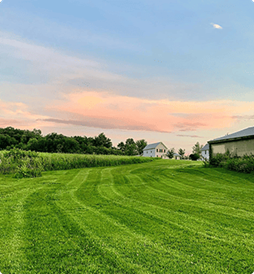 A large lush green field with a house in the background.