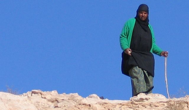 a woman is standing on top of a rocky hill holding a cane .