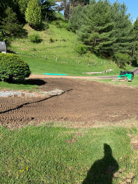 A shadow of a person is cast on a lush green field.