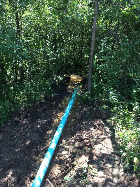 A blue pipe in the middle of a forest