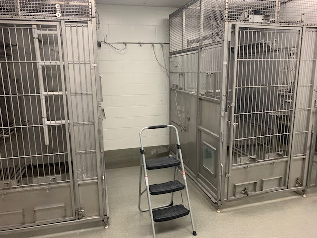 A room with a ladder in the middle of it