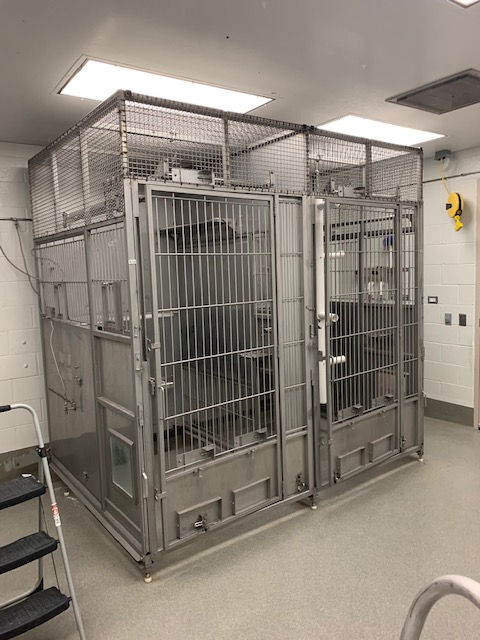 A room with a cage and a ladder in it.