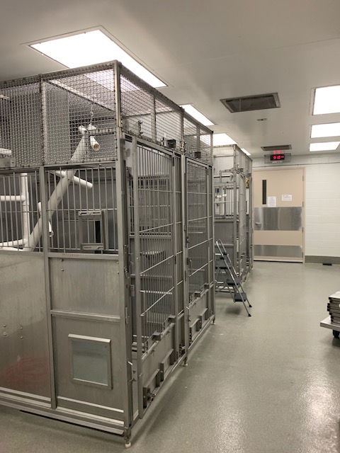 A room with a lot of cages in it