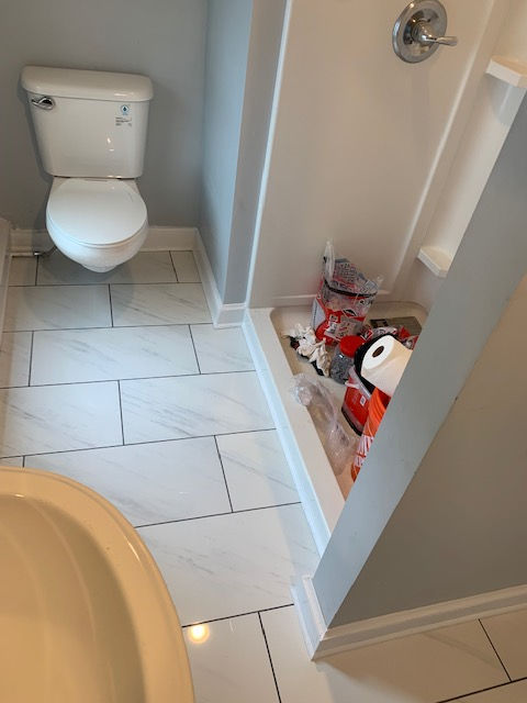 A bathroom with a toilet a sink and a shower