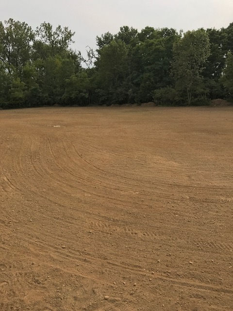 A large dirt field with trees in the background.