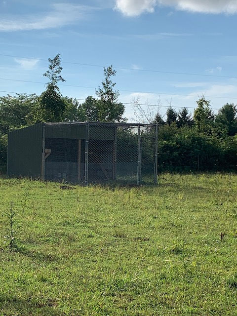 A fenced in area with a shed in the middle of it.