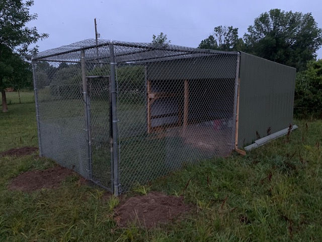 A chain link fence is surrounding a chicken coop in a grassy field.