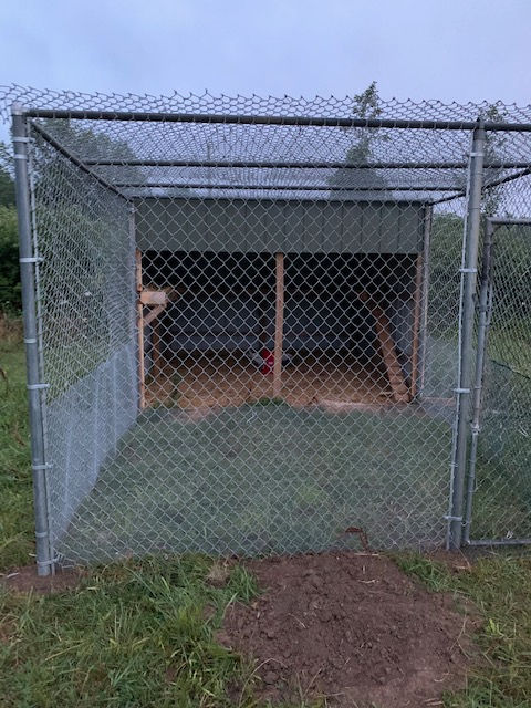 A chain link fence surrounds a shed in a field.