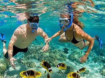 Pareja practicando snorkel, tomados de la mano, en aguas cristalinas de color turquesa, rodeados de peces de colores.