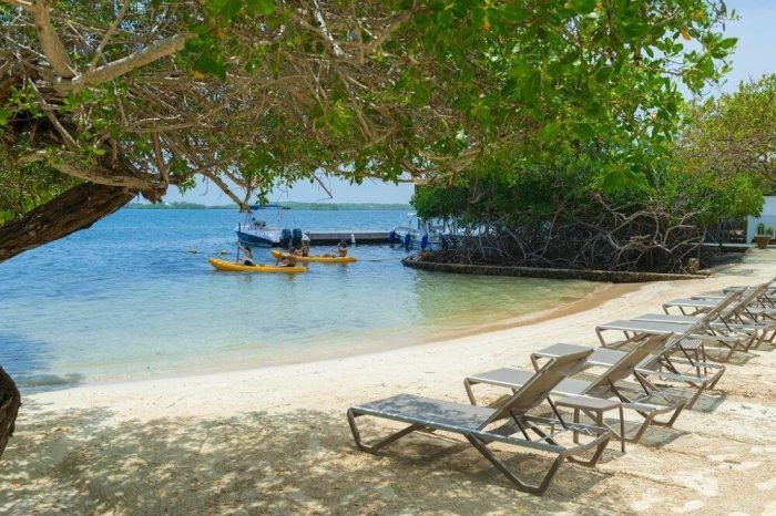 Playa con tumbonas, kayaks, barcos y aguas cristalinas de color azul.