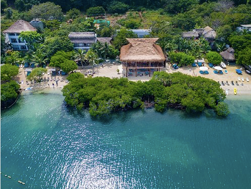 Vista aérea de una playa con agua turquesa y exuberantes árboles verdes