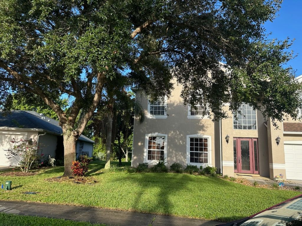 A house with a large tree in front of it