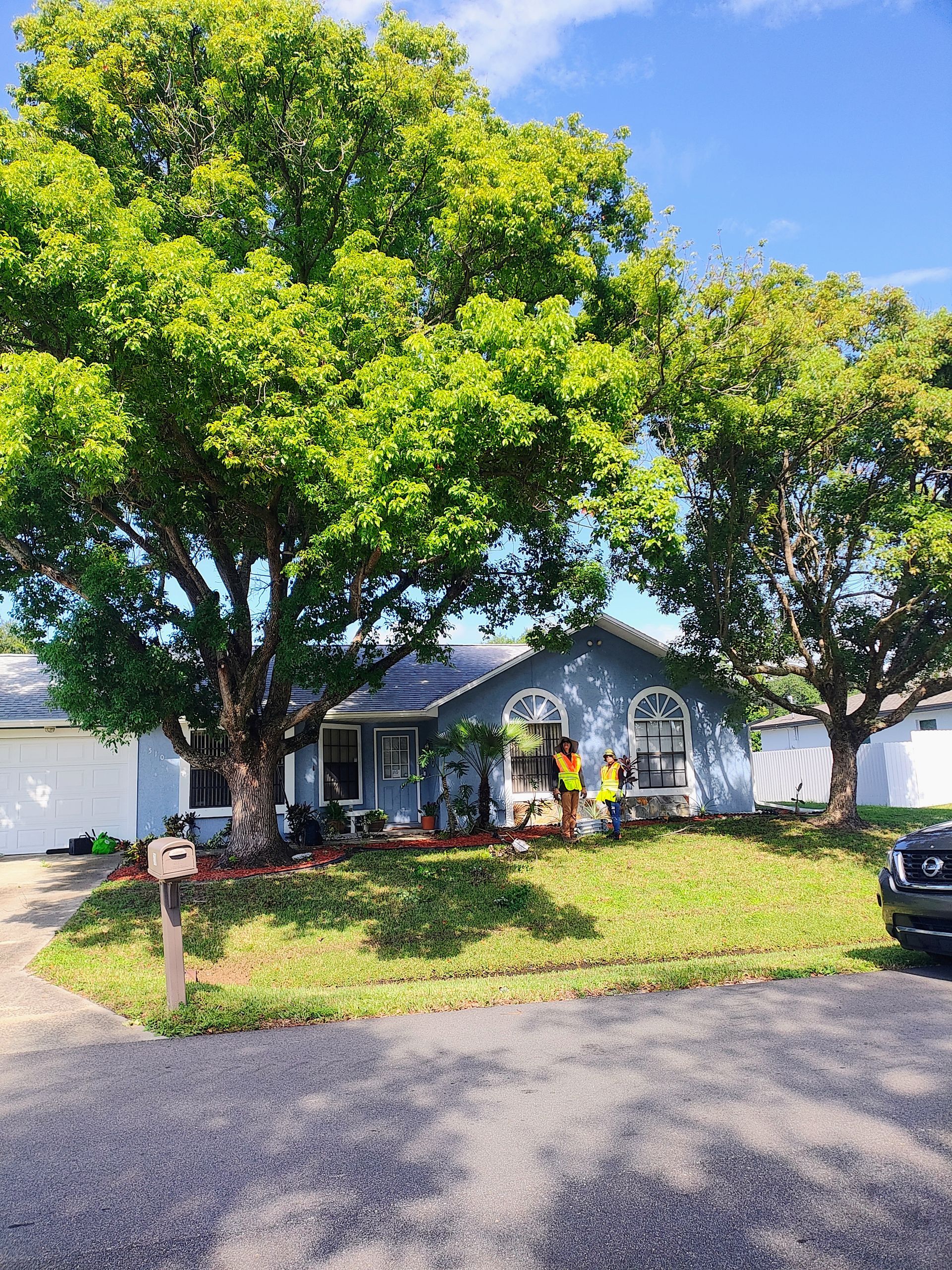 A house with a large tree in front of it and a car parked in front of it.