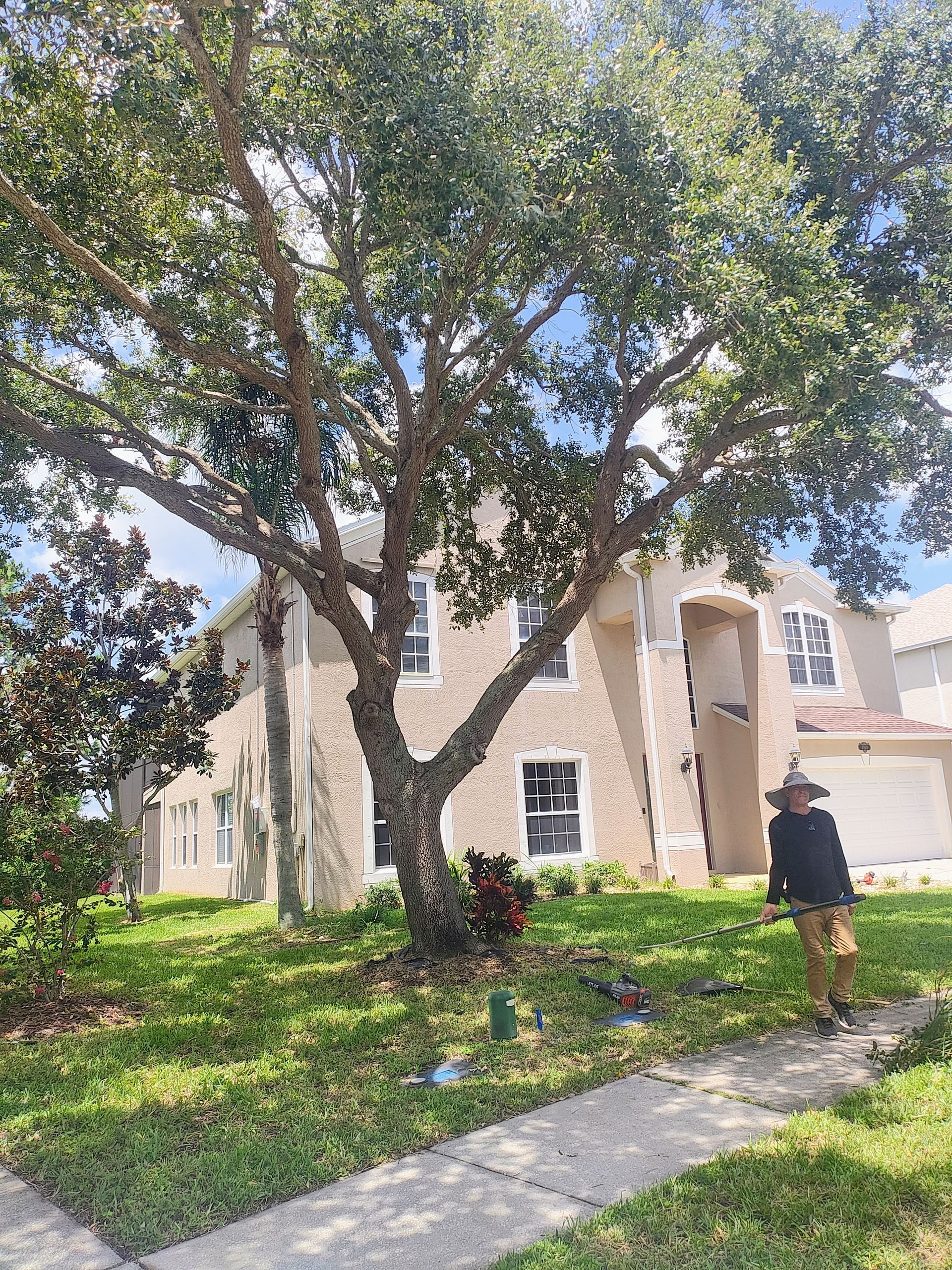 A man is standing in front of a large tree in front of a house.