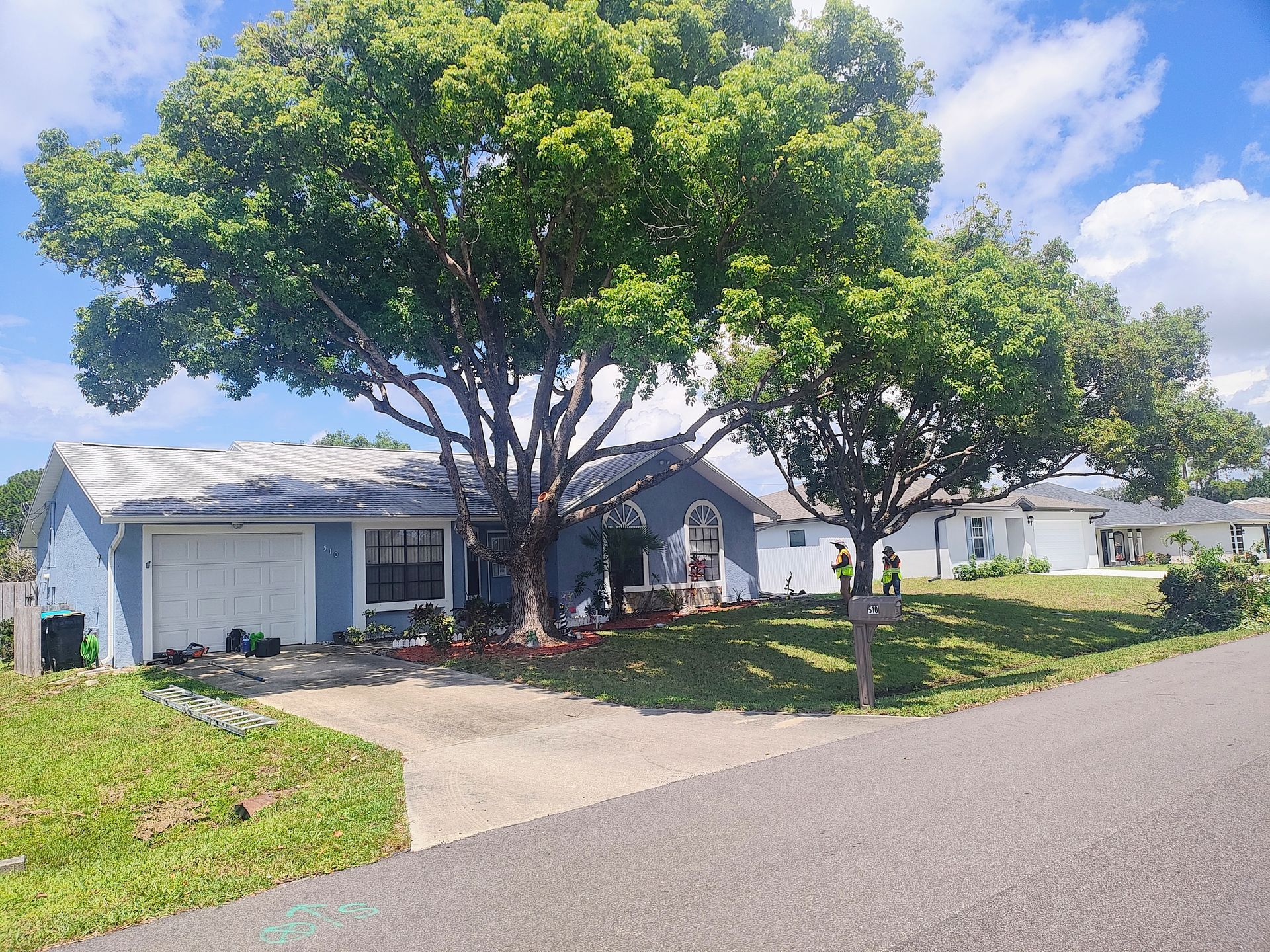A house with a large tree in front of it.