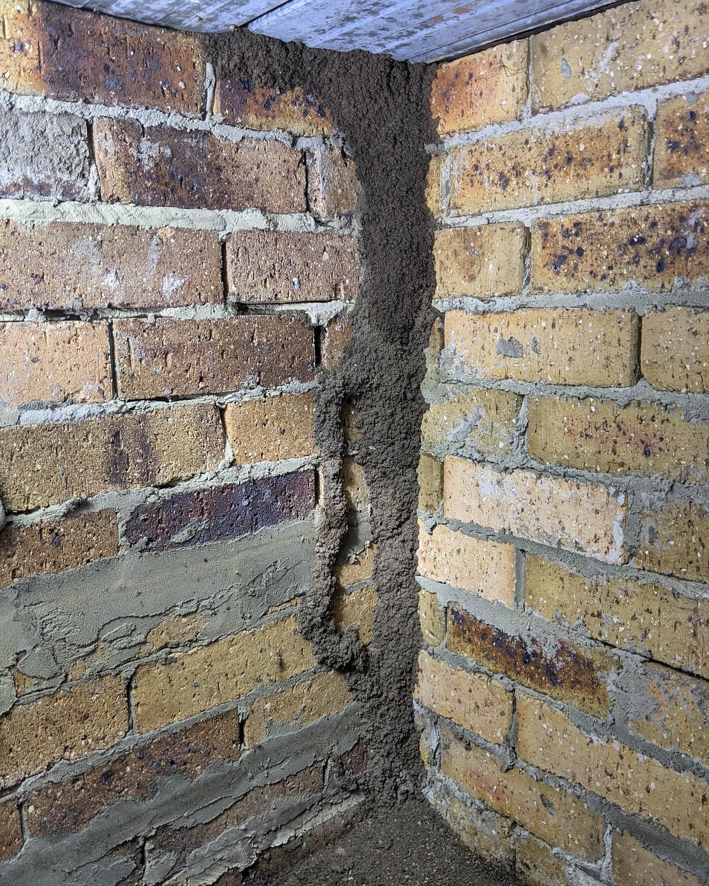 Mud Tube Built by Termites Along the Corner of Two Brick Walls — All Pest Solutions in Bangalow, NSW