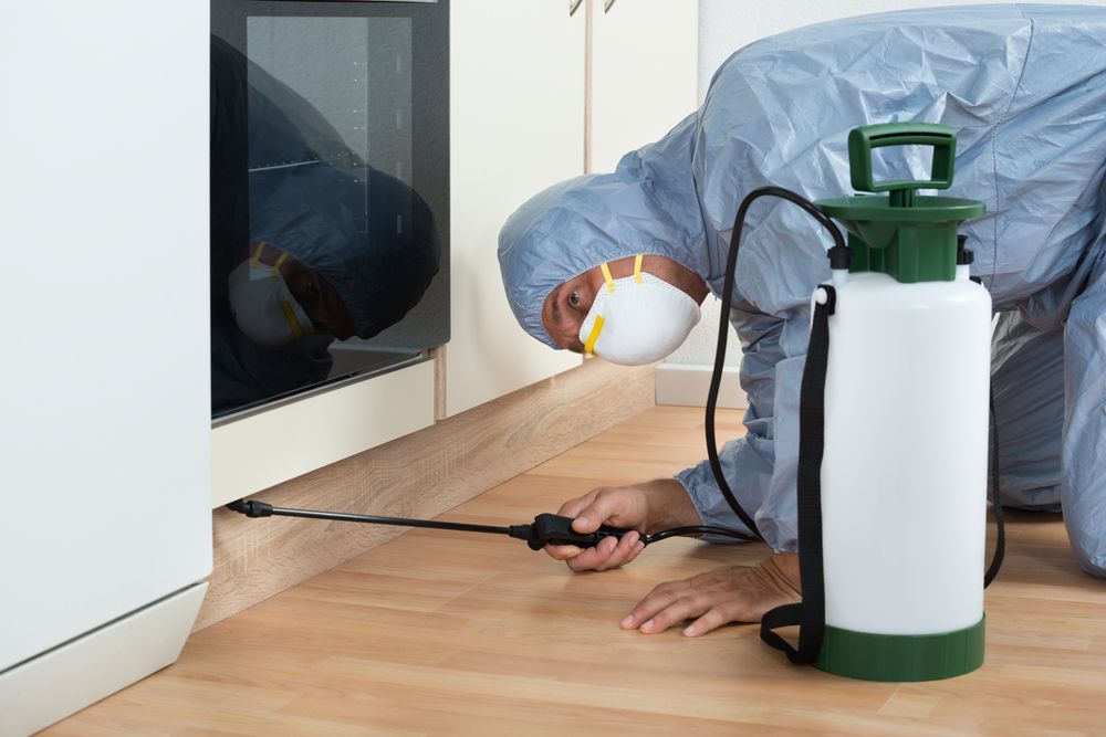 Person in Protective Suit Spraying Insecticide Near a Cabinet — All Pest Solutions in Macksville, NSW