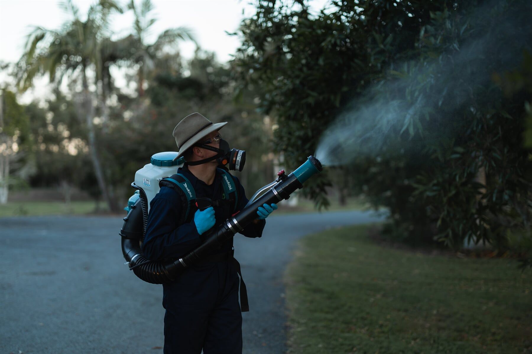 Mosquito Treatment 5