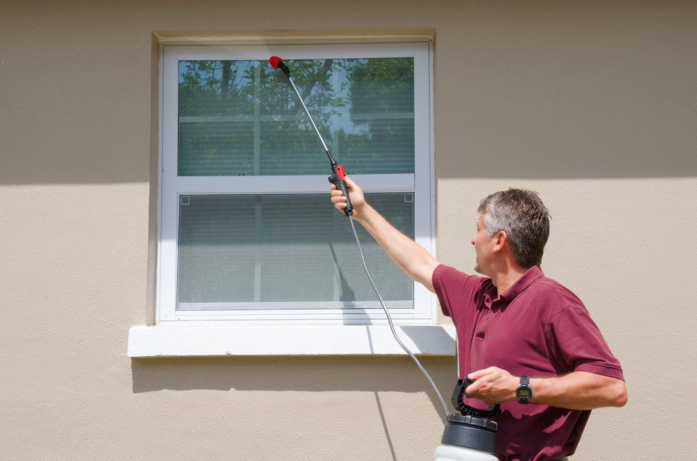Man Spraying Chemical on the Window Frame — All Pest Solutions in Murwillumbah, NSW
