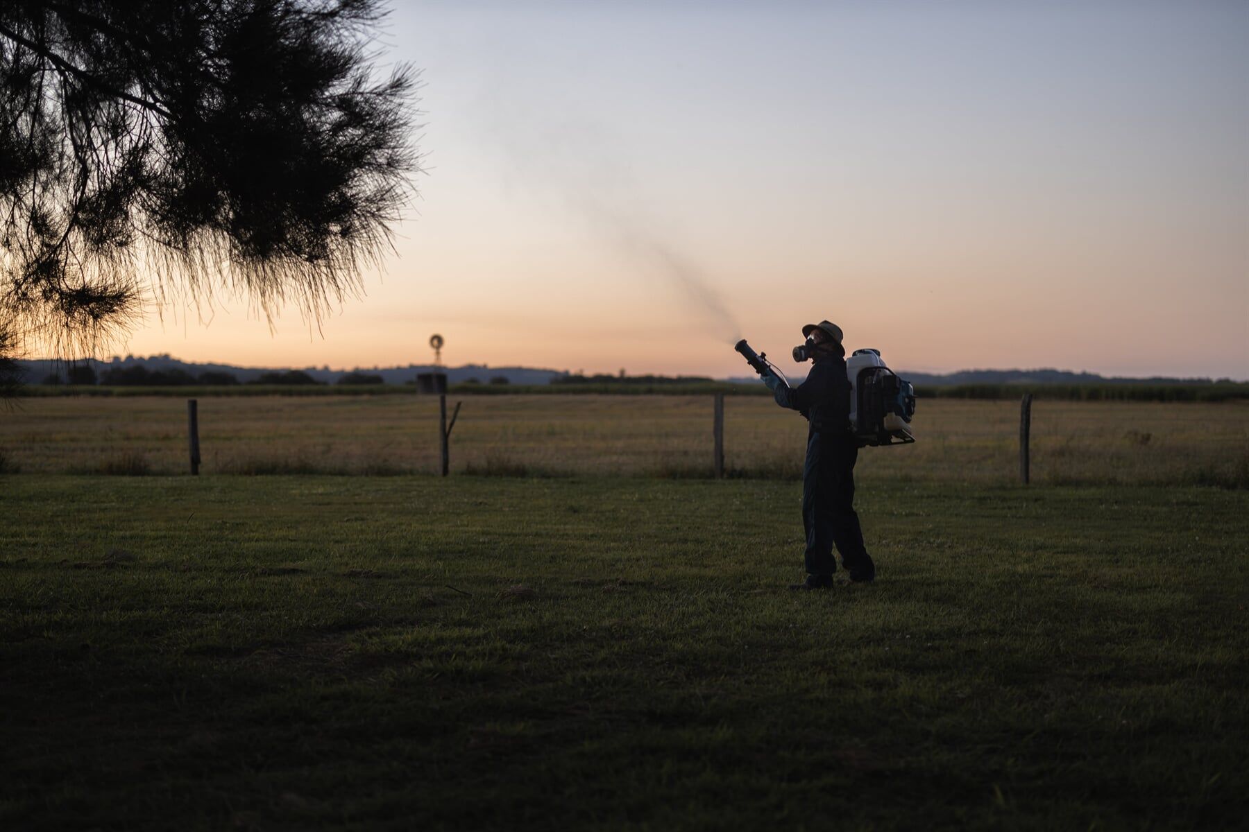 Mosquito Treatment 3