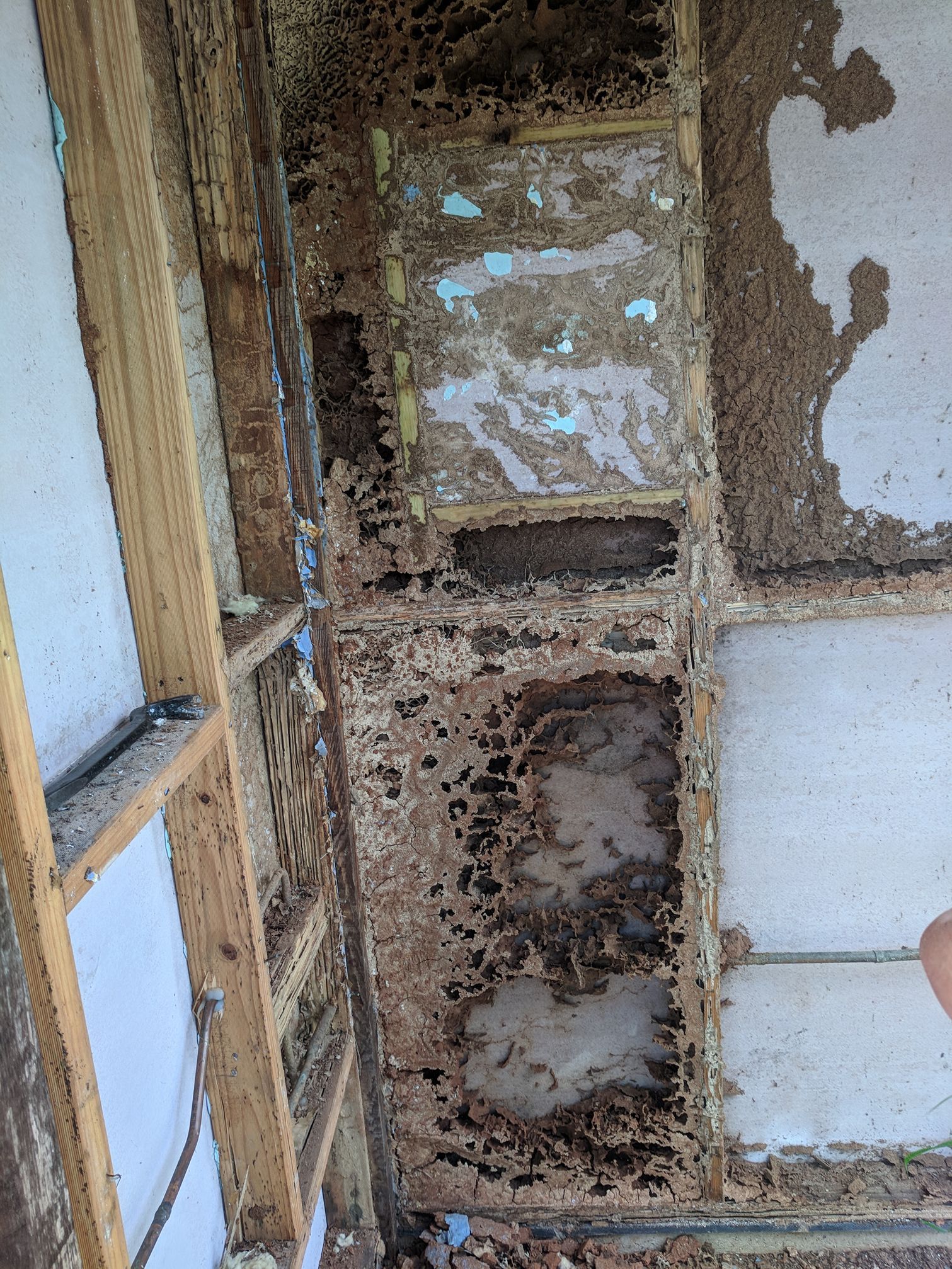 Damaged Wood Structure With Termite Infestation — All Pest Solutions in Mullumbimby, NSW