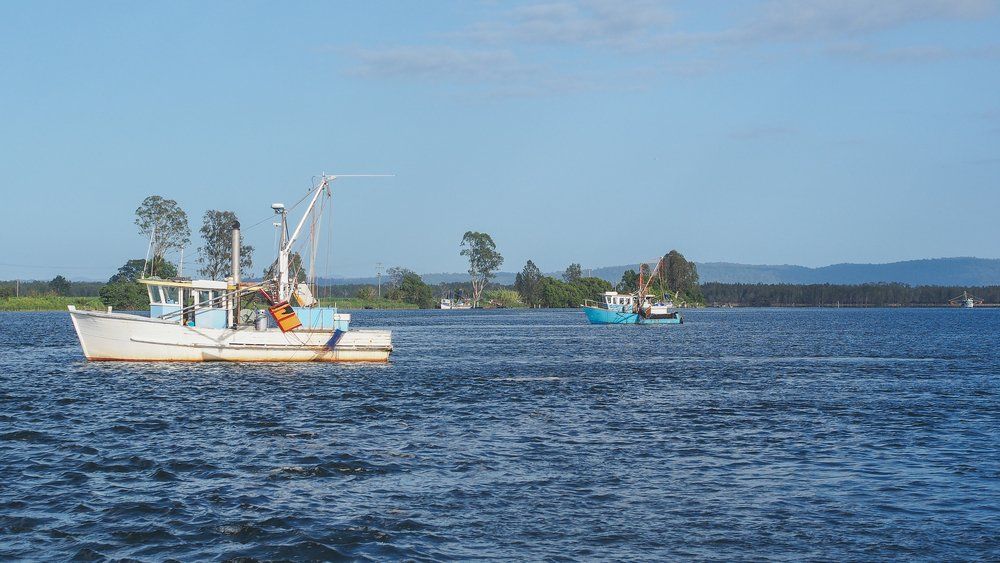 Two Boats in the River — All Pest Solutions in Mid North Coast, NSW