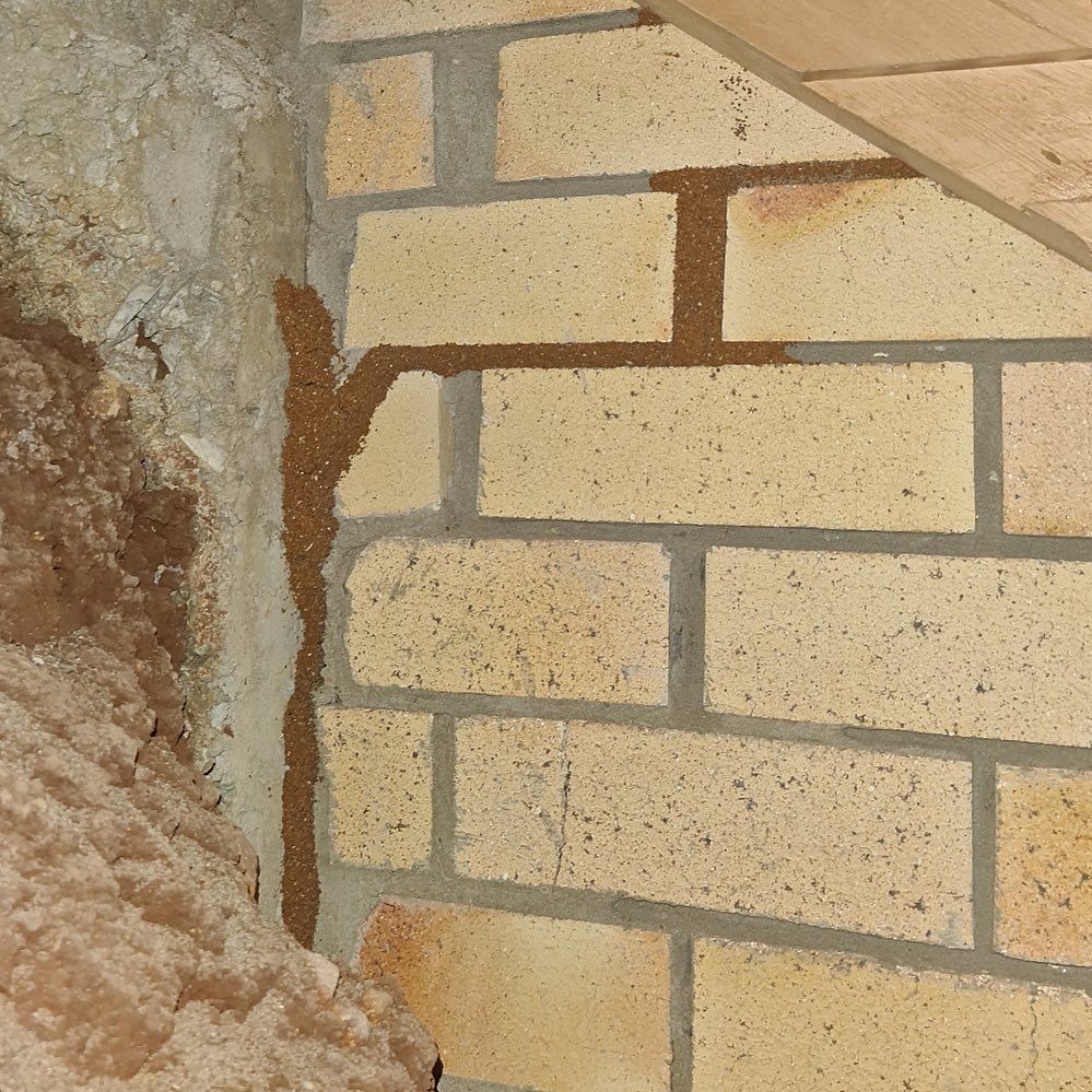 Termite Mud Tube on a Brick Wall, Beige and Brown Colors — All Pest Solutions in Pottsville, NSW