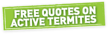 Free Quotes on Active Termites