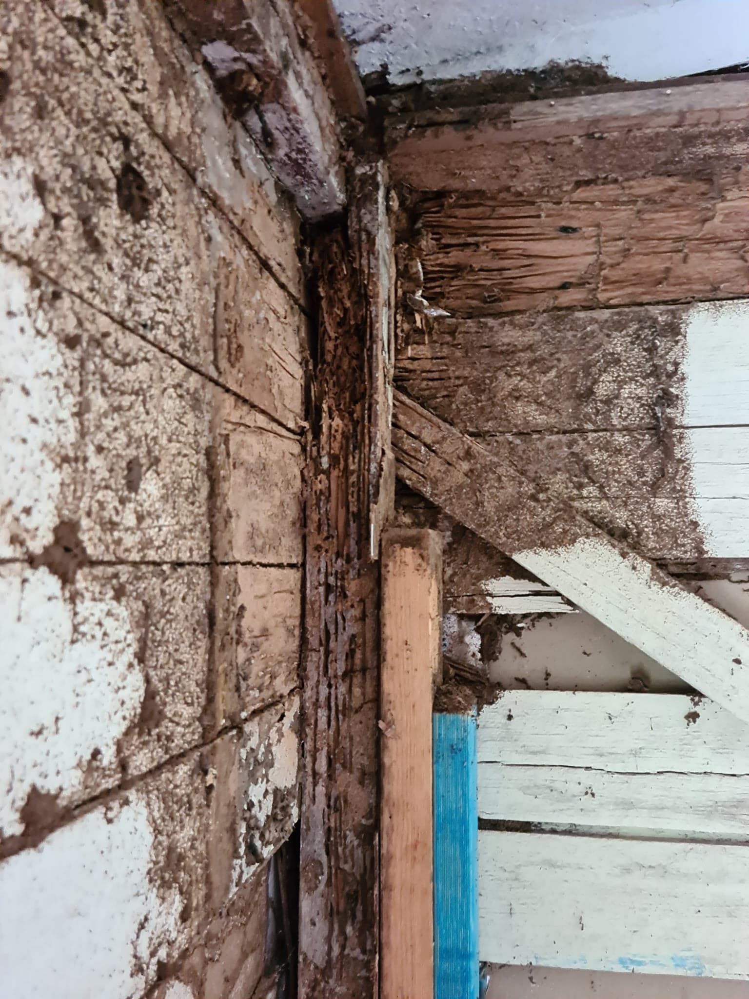 Wood Damage With Significant Deterioration, Possibly Termite Infestation — All Pest Solutions in Alstonville, NSW