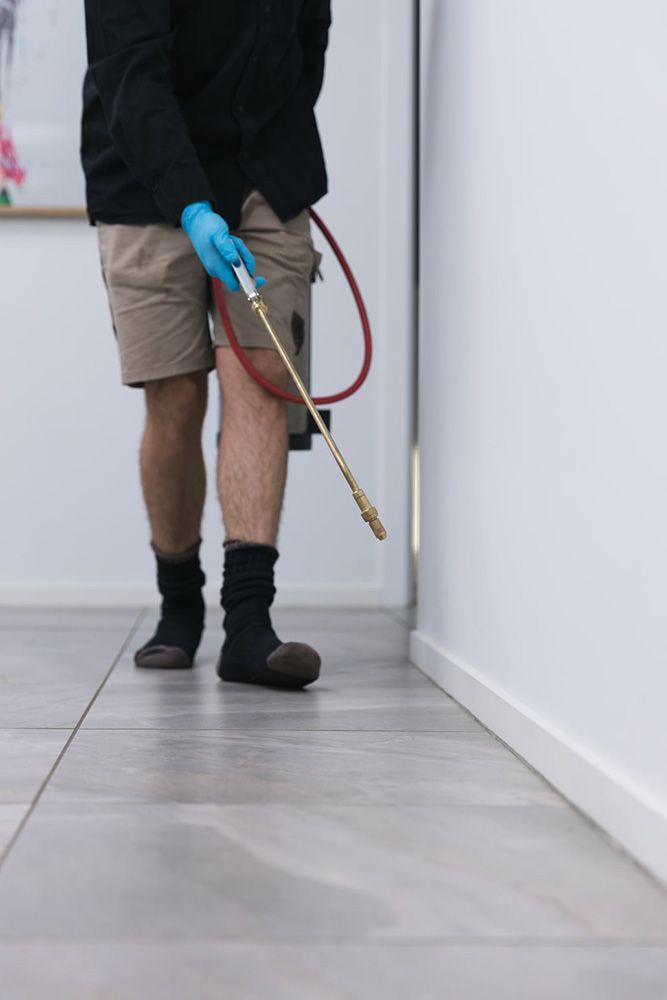 A Person Uses A Long Handheld Sprayer To Treat The Baseboards — All Pest Solutions in Coffs Harbour, NSW