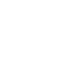 pest inspection