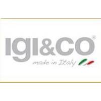 Igi&co logo