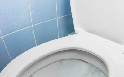 5 Items To Never Flush Down Your Toilet