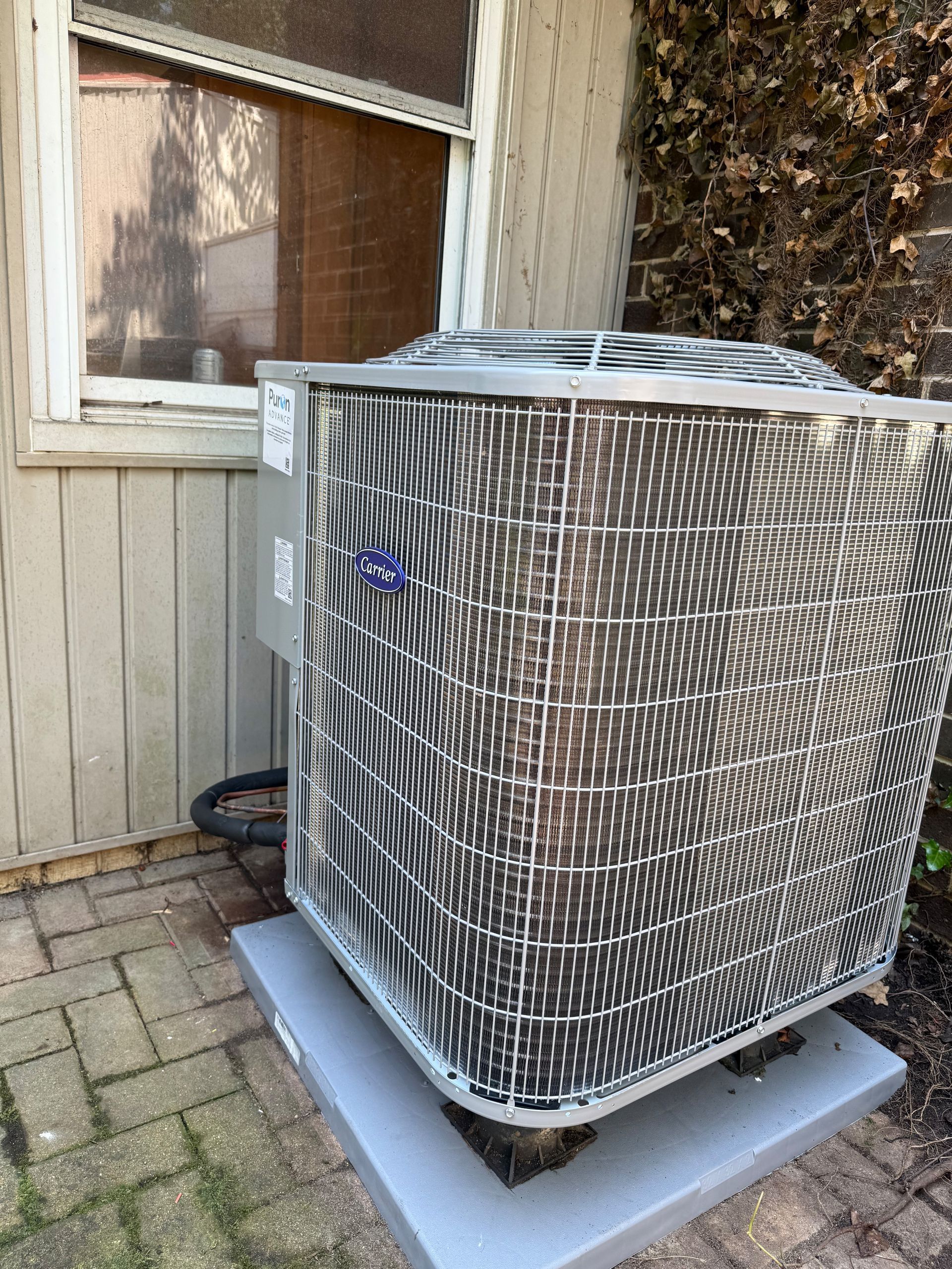Air conditioning unit on a concrete pad next to a building and window.