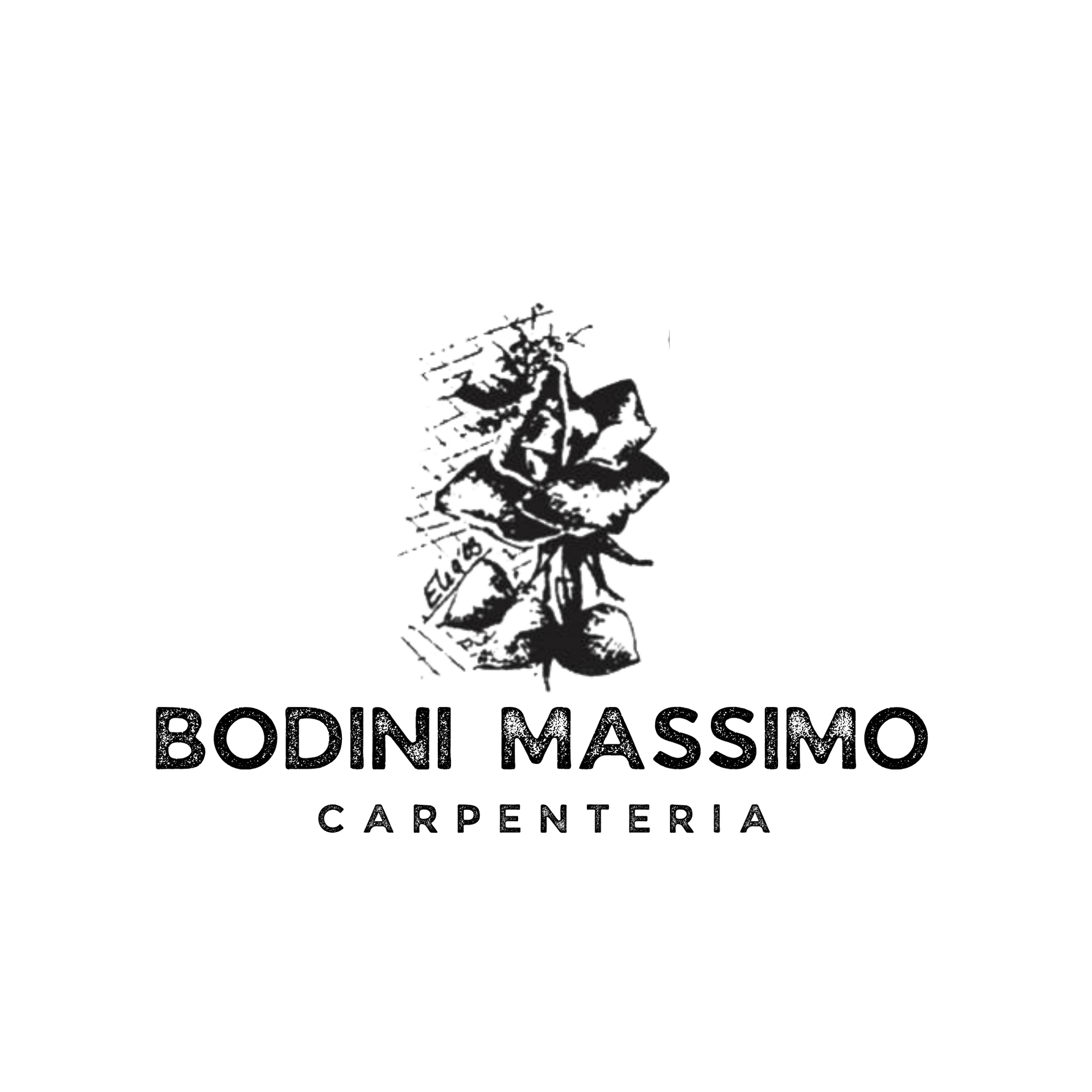 FABBRO BODINI MASSIMO - LOGO