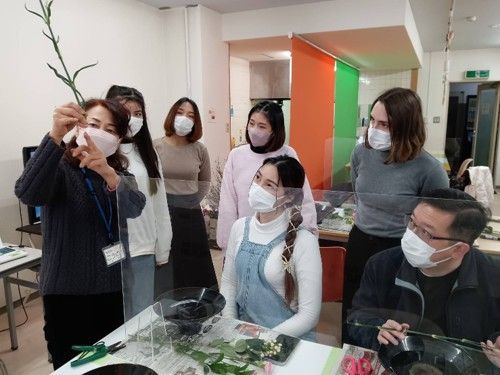 京都熟齡遊學-深度文化體驗