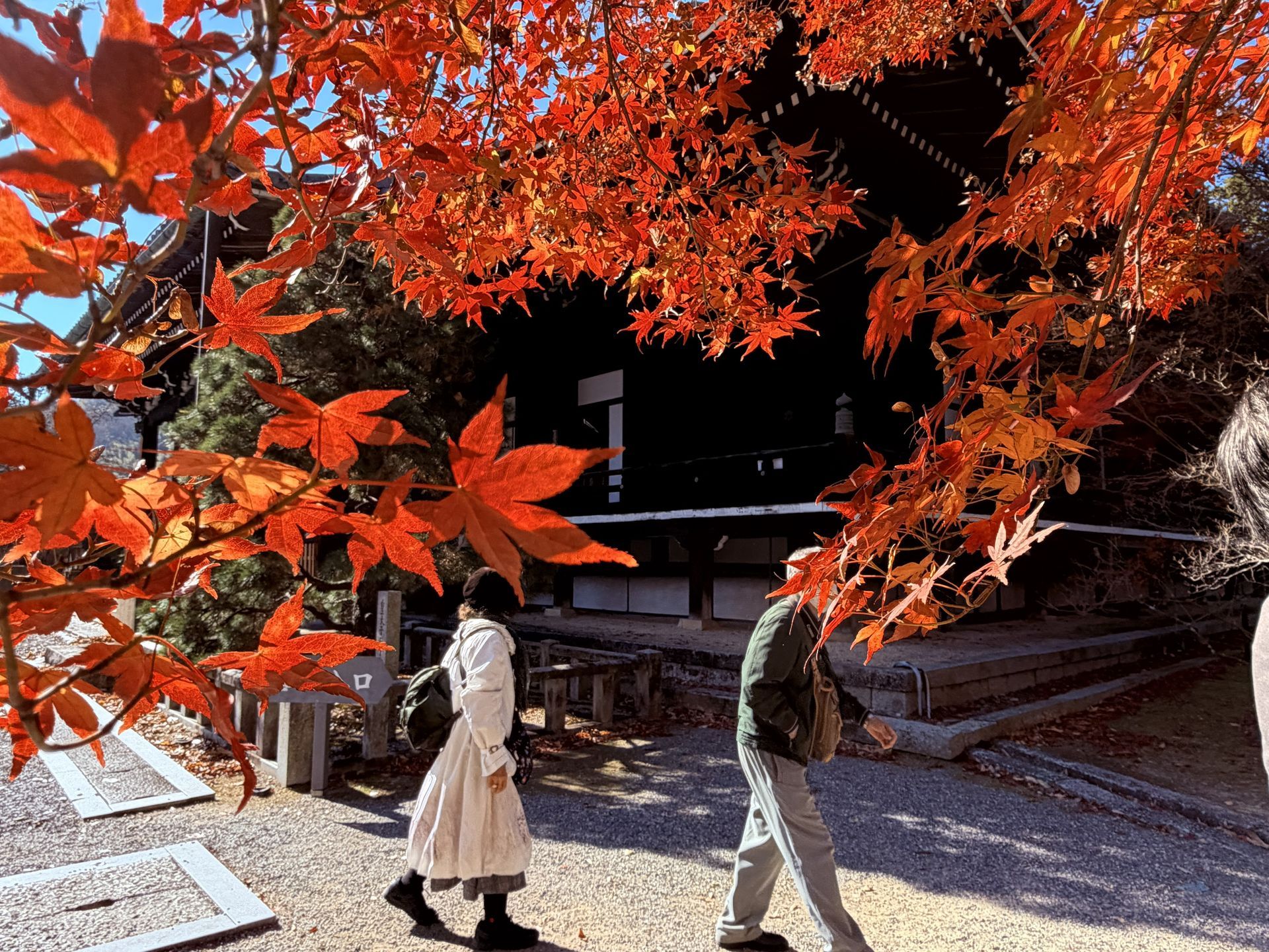 京都熟齡遊學-深度文化體驗