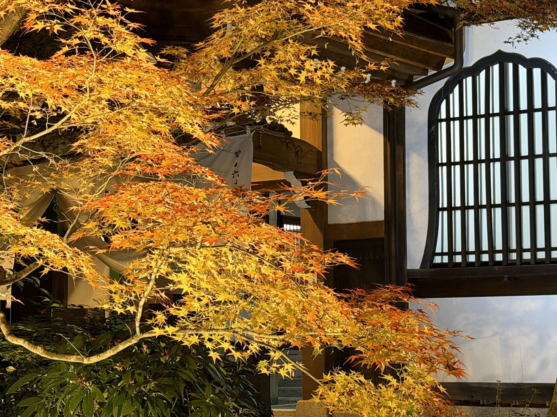 京都熟齡遊學-深度文化體驗