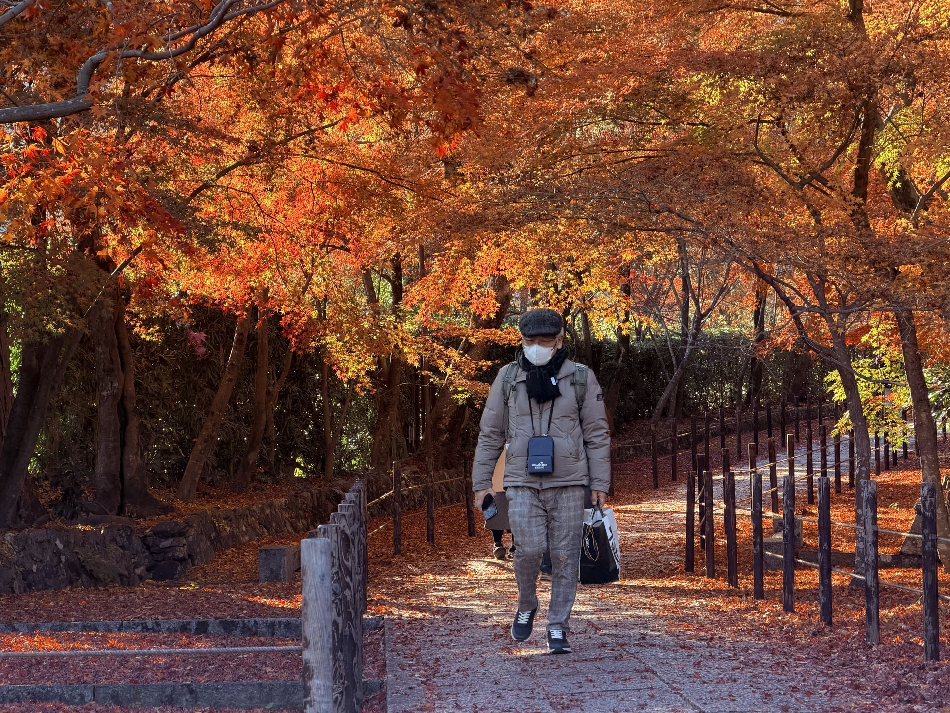 京都熟齡遊學-深度文化體驗