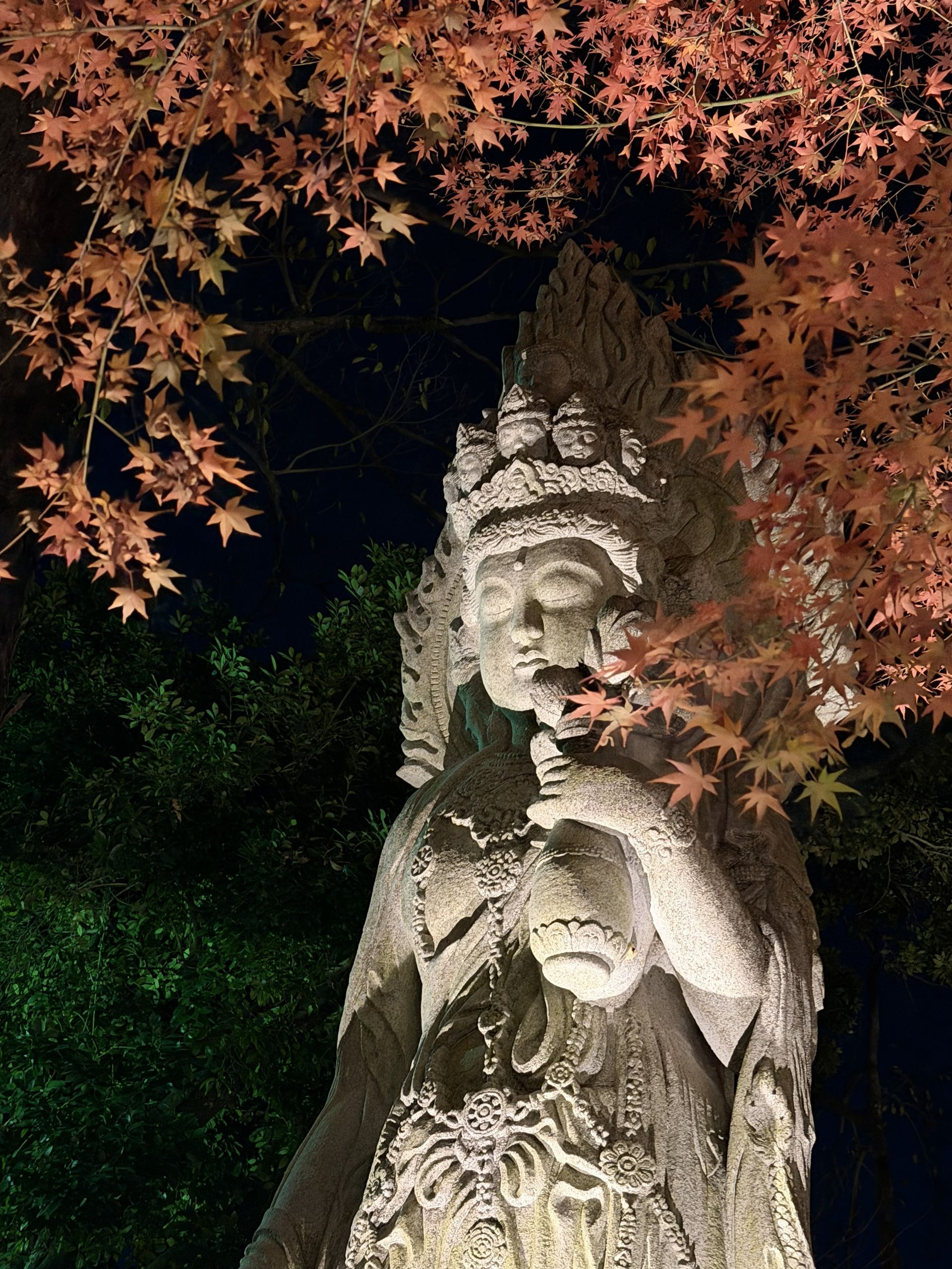 京都熟齡遊學-深度文化體驗