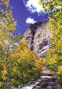 A staircase leading up to a mountain surrounded by trees