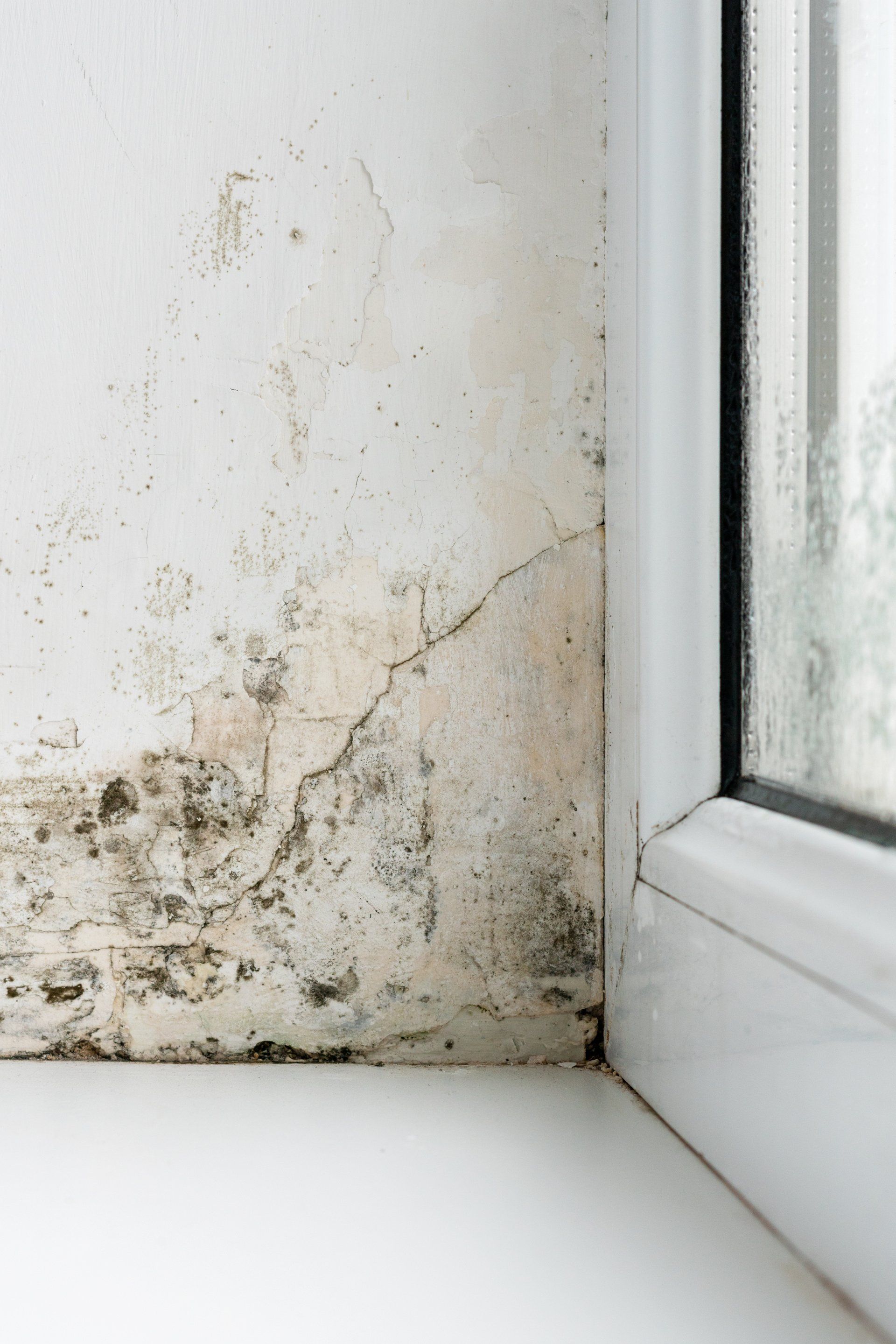 Why does condensation form on my window?