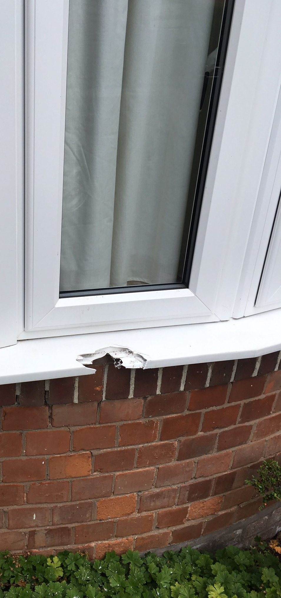 Window repair sill repair
