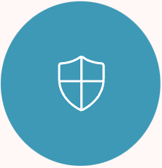 An icon of a shield in a blue circle.