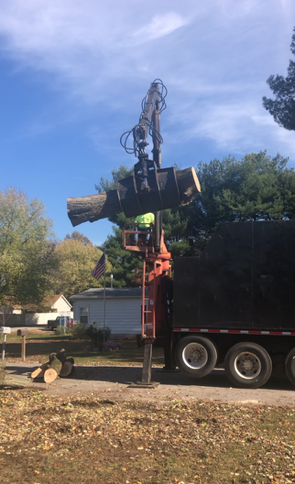 Tree removal in progress: bucket truck trimming tall tree on a residential road. A person watches nearby.