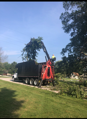 A person in orange pants cuts a fallen tree limb on a dark asphalt surface with greenery.